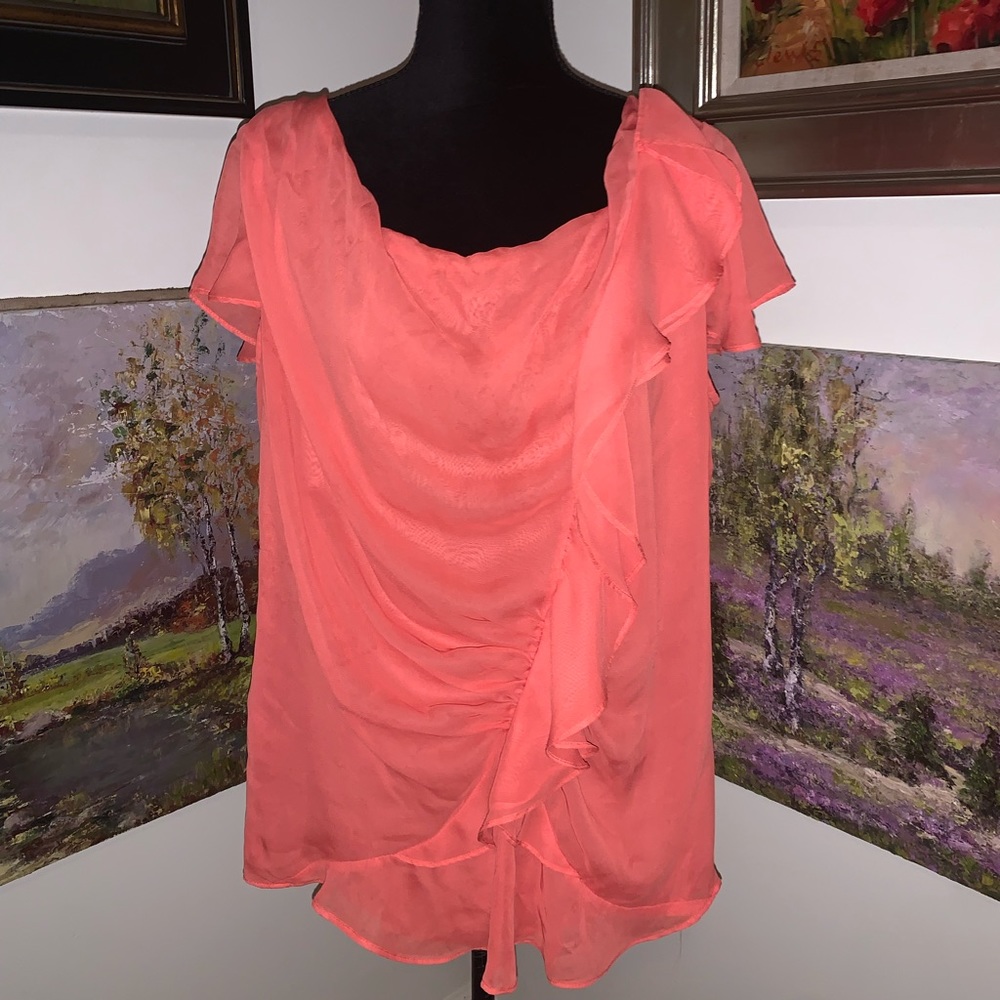 🐠 RAFAELLA blouse size 2X